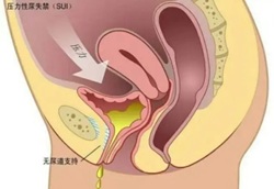 1769754924889192.jpg 640.jpg